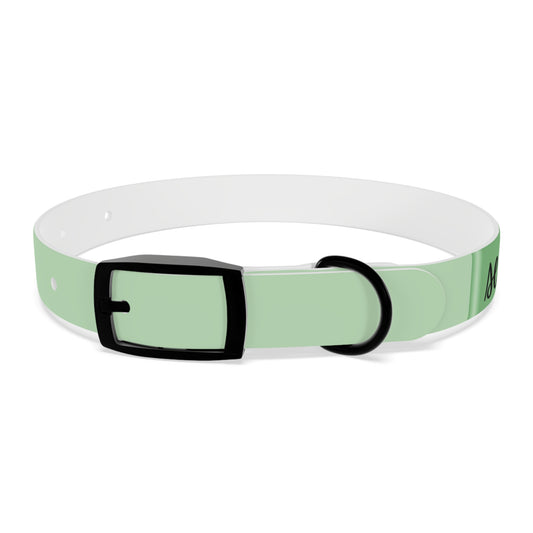 Celiac Disease Service Dog Collar